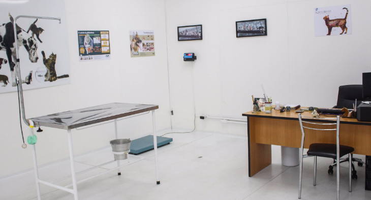Clinica Veterinária na Zona leste