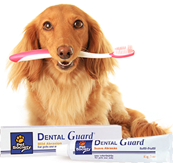 escovacao-dentes-pets