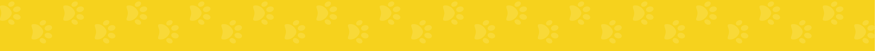 petshop na zona leste, são paulo