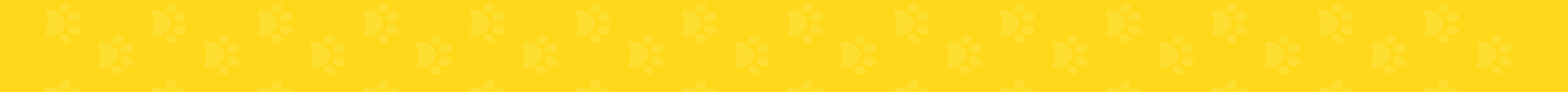 petshop na zona leste