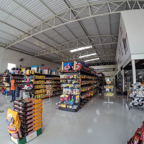 petshop na vila diva zona leste