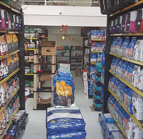 petshop-the-dog-3