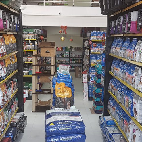 petshop-the-dog-3